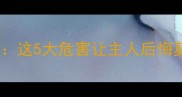 边牧不驱虫的严重后果这5大危害让主人后悔莫及附科学护理指南