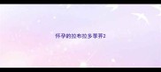怀孕的拉布拉多荸荠