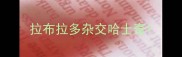 拉布拉多杂交哈士奇