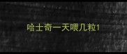 哈士奇一天喂几粒