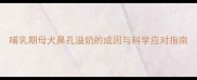 哺乳期母犬鼻孔溢奶的成因与科学应对指南
