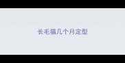 长毛猫几个月定型