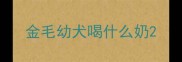 金毛幼犬喝什么奶
