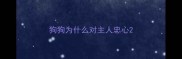 狗狗为什么对主人忠心