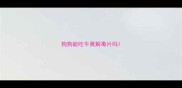狗狗能吃牛黄解毒片吗