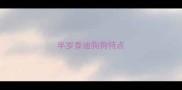 半岁泰迪狗狗特点