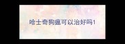 哈士奇狗瘟可以治好吗