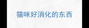 猫咪好消化的东西