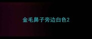 金毛鼻子旁边白色