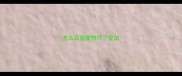 怎么识别宠物打了疫苗