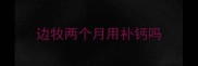 边牧两个月用补钙吗