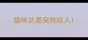 猫咪总是突然咬人