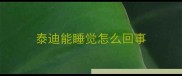 泰迪能睡觉怎么回事