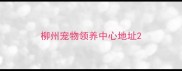 柳州宠物领养中心地址