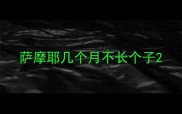 萨摩耶几个月不长个子