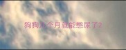 狗狗几个月就能憋尿了