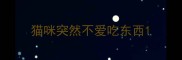 猫咪突然不爱吃东西