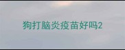 狗打脑炎疫苗好吗