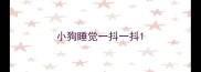 小狗睡觉一抖一抖