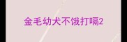 金毛幼犬不饿打嗝