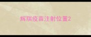 辉瑞疫苗注射位置