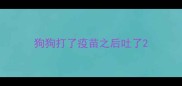 狗狗打了疫苗之后吐了
