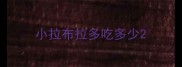 小拉布拉多吃多少