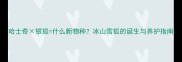 哈士奇银狐什么新物种冰山雪狐的诞生与养护指南