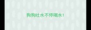 狗狗吐水不停喝水