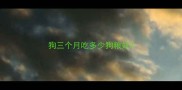 狗三个月吃多少狗粮好
