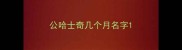 公哈士奇几个月名字