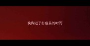 狗狗过了打疫苗的时间