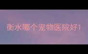 衡水哪个宠物医院好