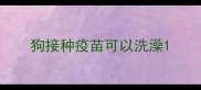 狗接种疫苗可以洗澡