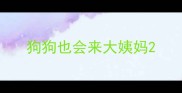 狗狗也会来大姨妈