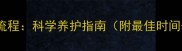 猫驱虫与疫苗全流程科学养护指南附最佳时间表与注意事项