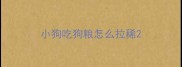 小狗吃狗粮怎么拉稀