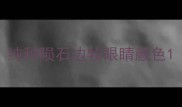 纯种陨石边牧眼睛颜色