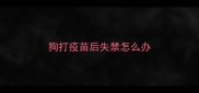 狗打疫苗后失禁怎么办