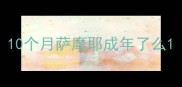 10个月萨摩耶成年了么
