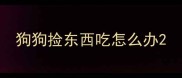 狗狗捡东西吃怎么办