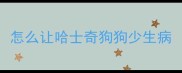 怎么让哈士奇狗狗少生病