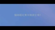 猫咪呕吐黄水精神正常
