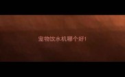 宠物饮水机哪个好