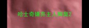 哈士奇嫌弃主人脚臭