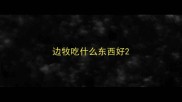 边牧吃什么东西好