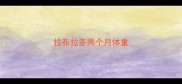 拉布拉多两个月体重