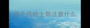 四个月哈士奇注意什么