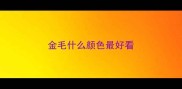 金毛什么颜色最好看