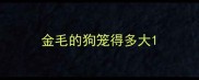 金毛的狗笼得多大